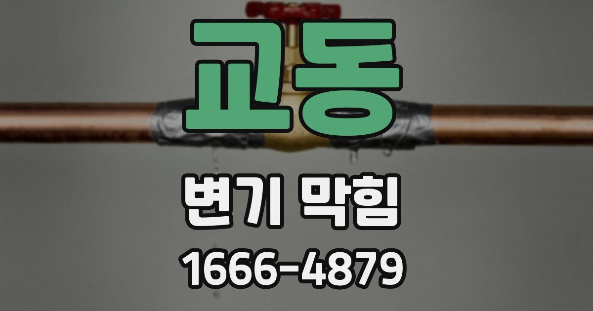 교동 변기 막힘