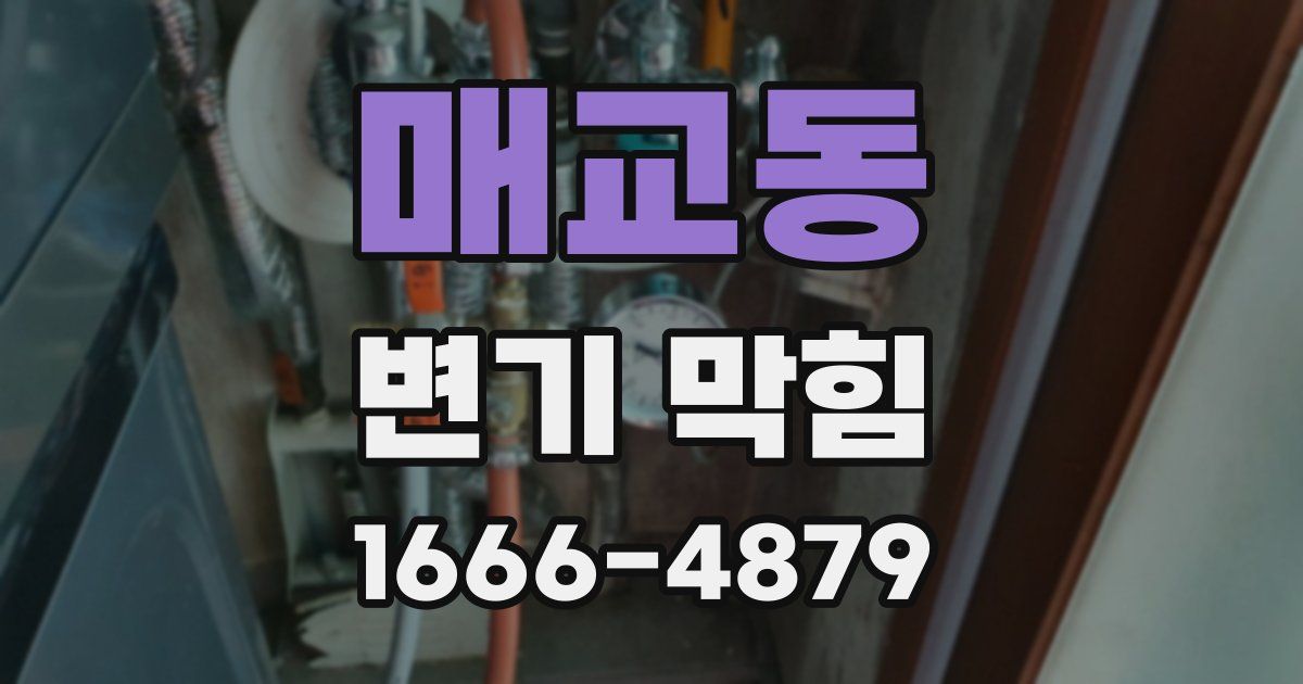 매교동 변기 막힘