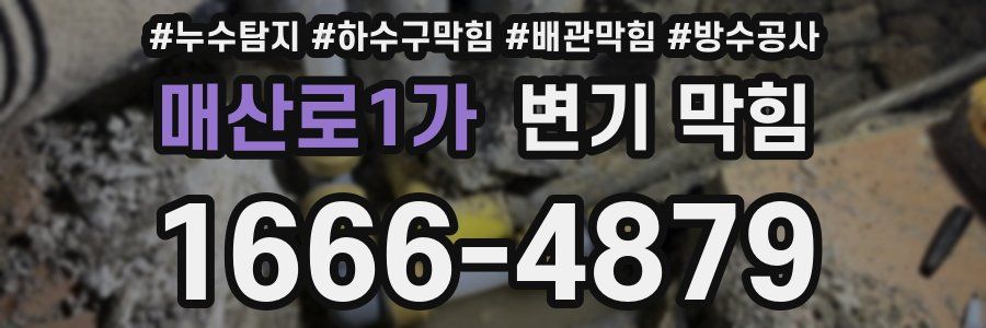 매산로1가 변기 막힘