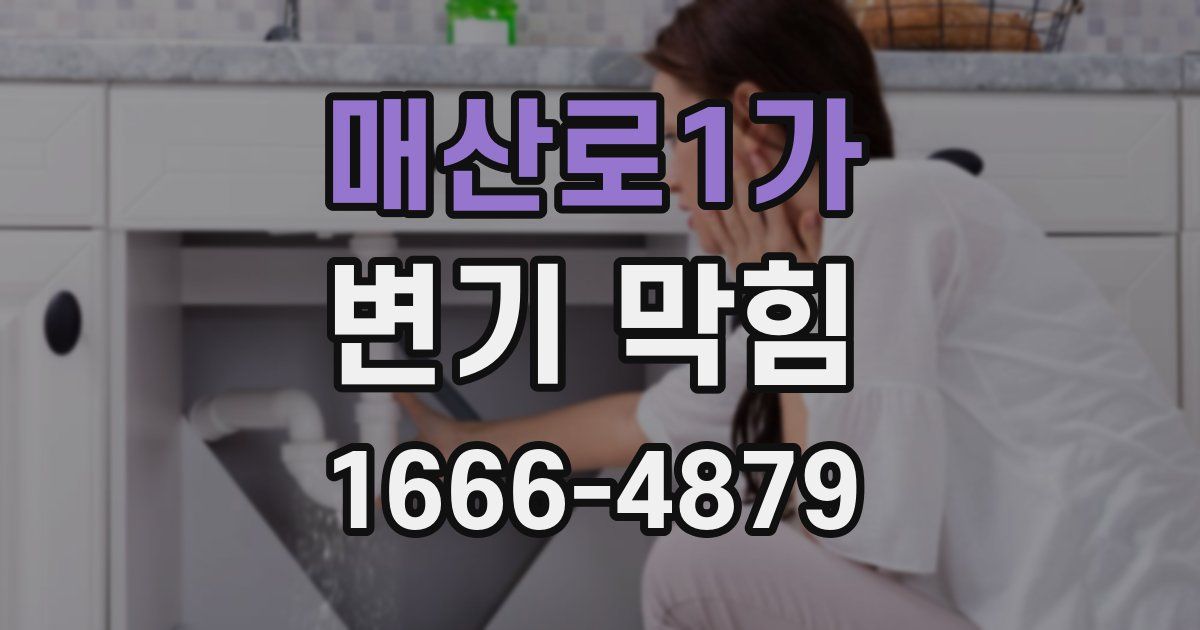 매산로1가 변기 막힘
