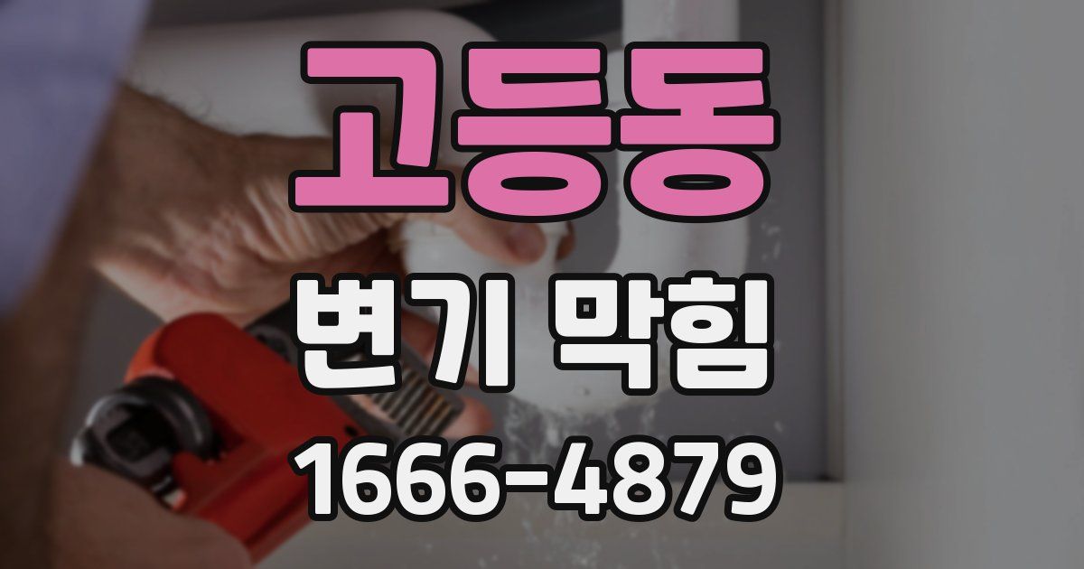 고등동 변기 막힘