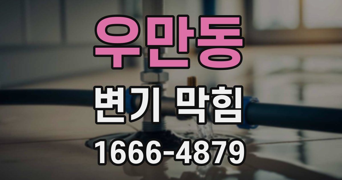 우만동 변기 막힘
