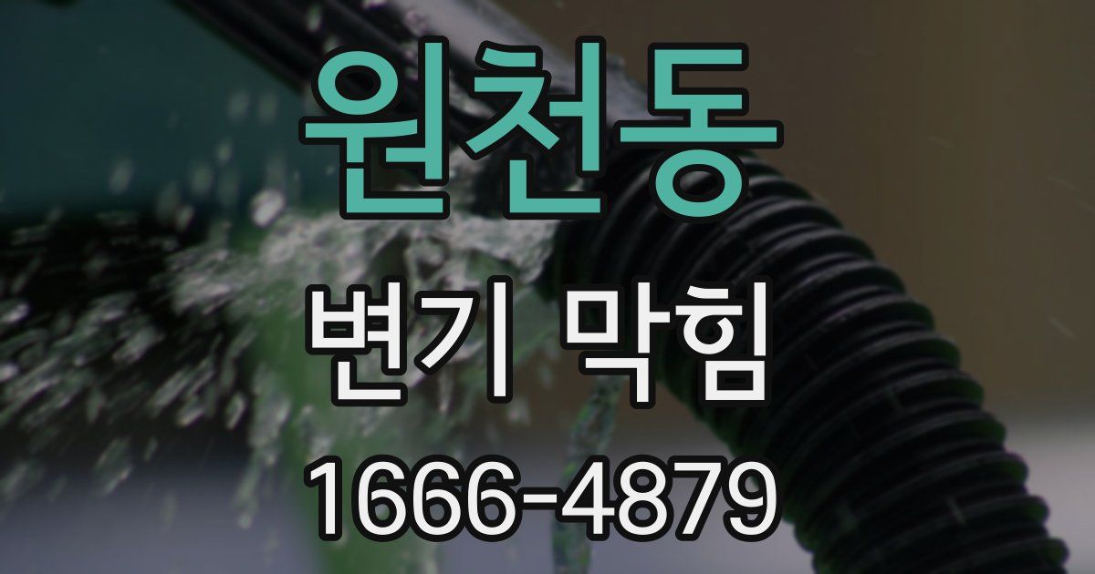 원천동 변기 막힘