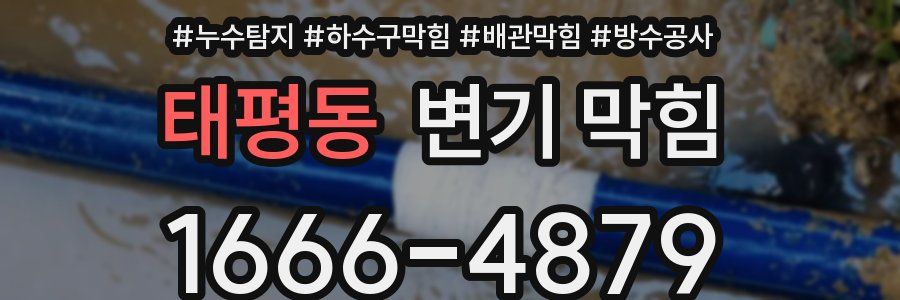 태평동 변기 막힘