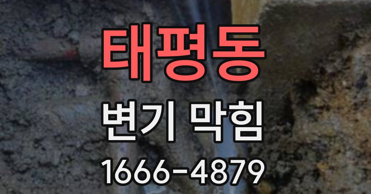 태평동 변기 막힘