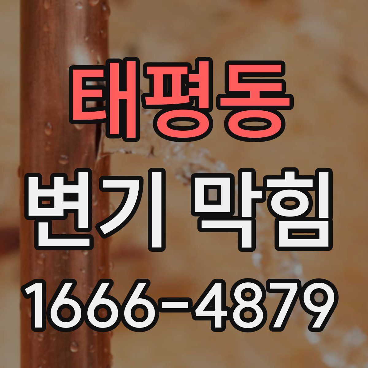 태평동 변기 막힘