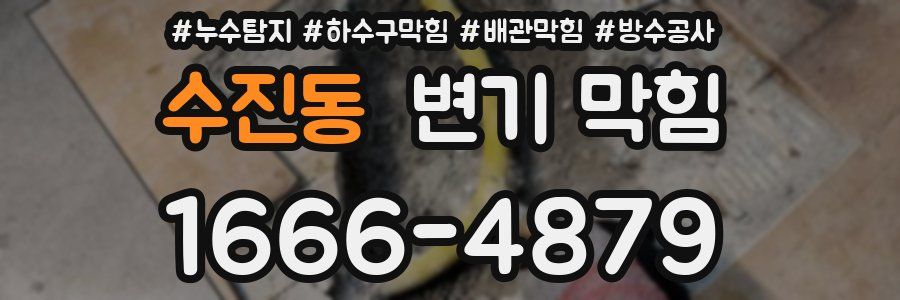 수진동 변기 막힘