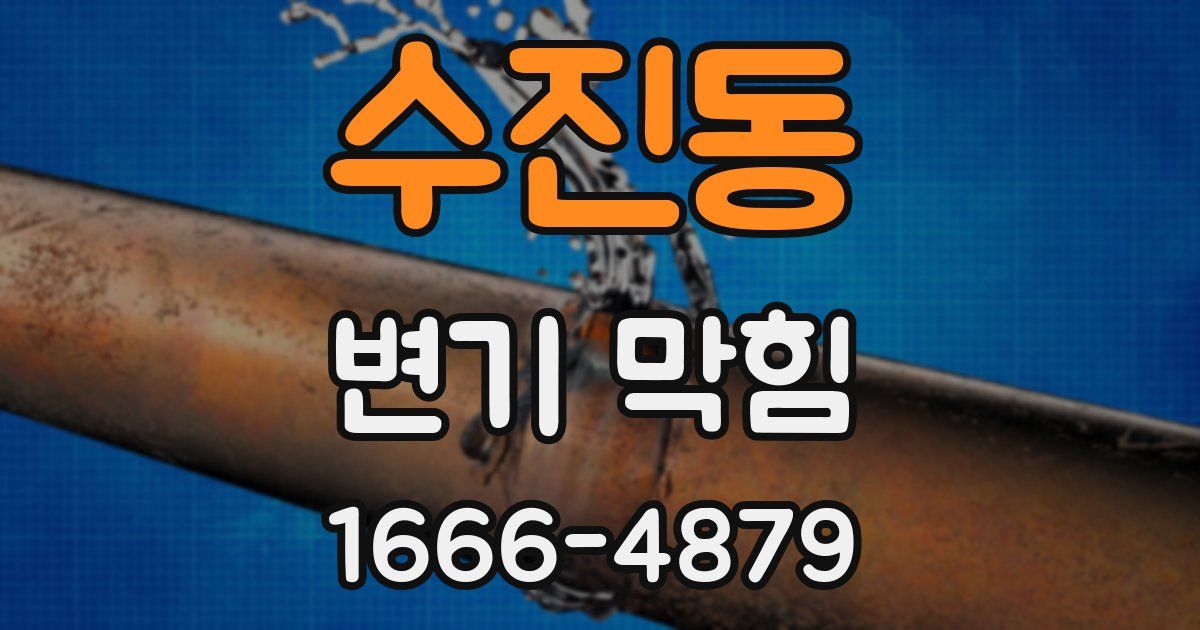 수진동 변기 막힘