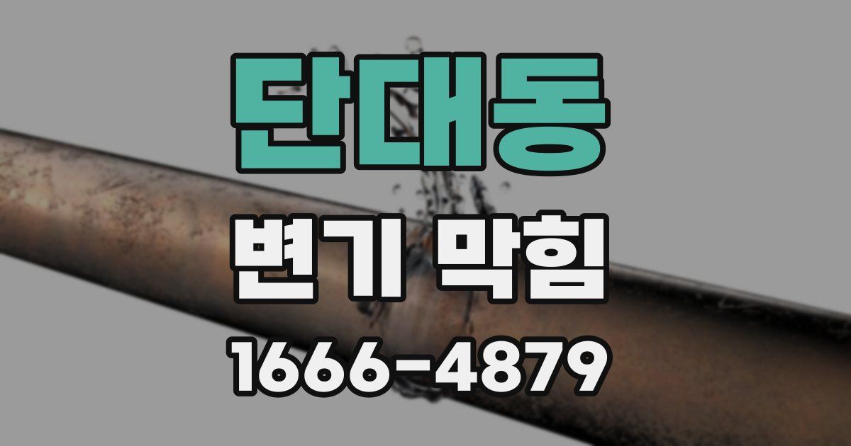 단대동 변기 막힘