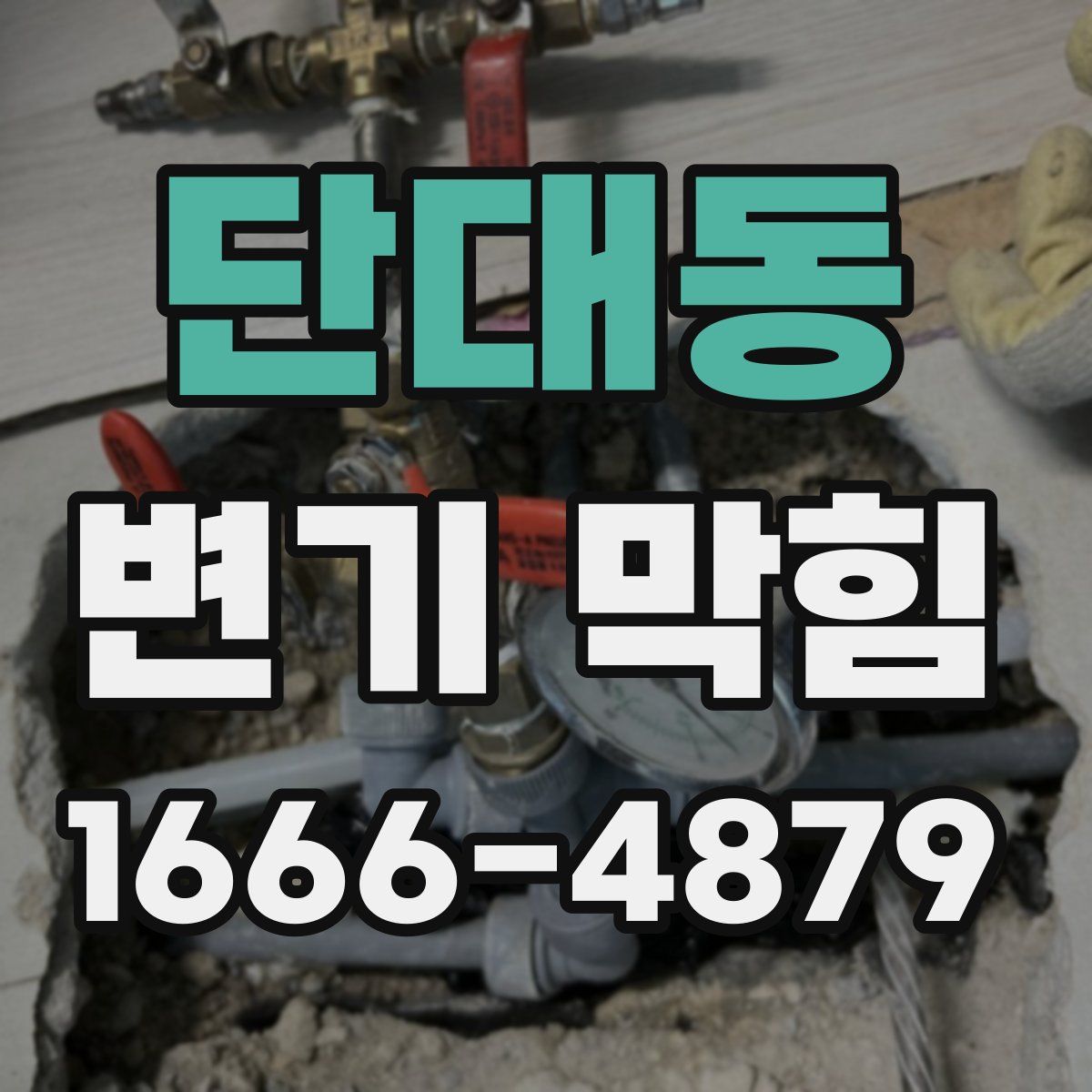 단대동 변기 막힘