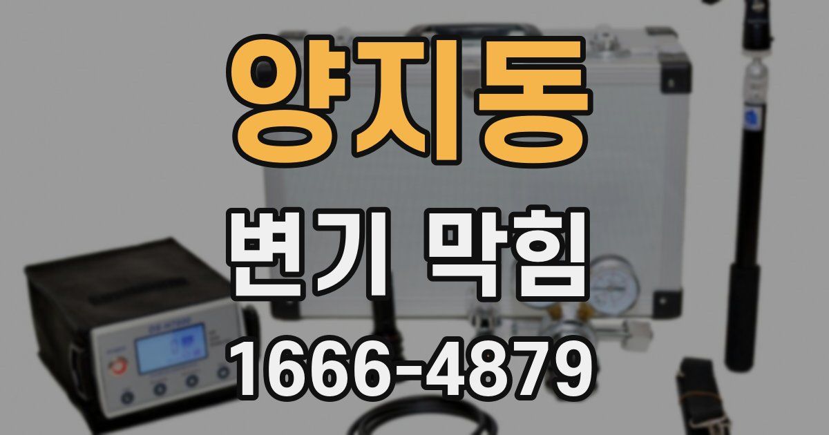 양지동 변기 막힘
