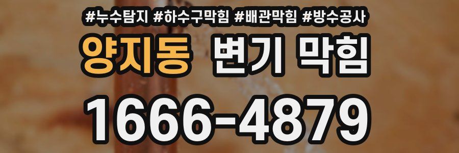 양지동 변기 막힘