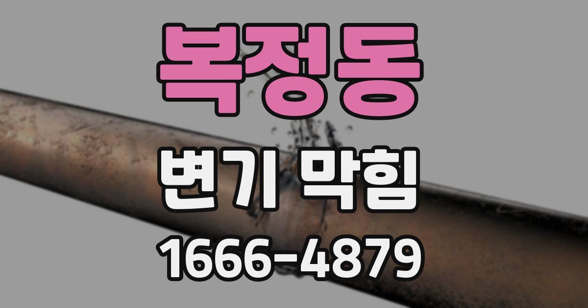 복정동 변기 막힘