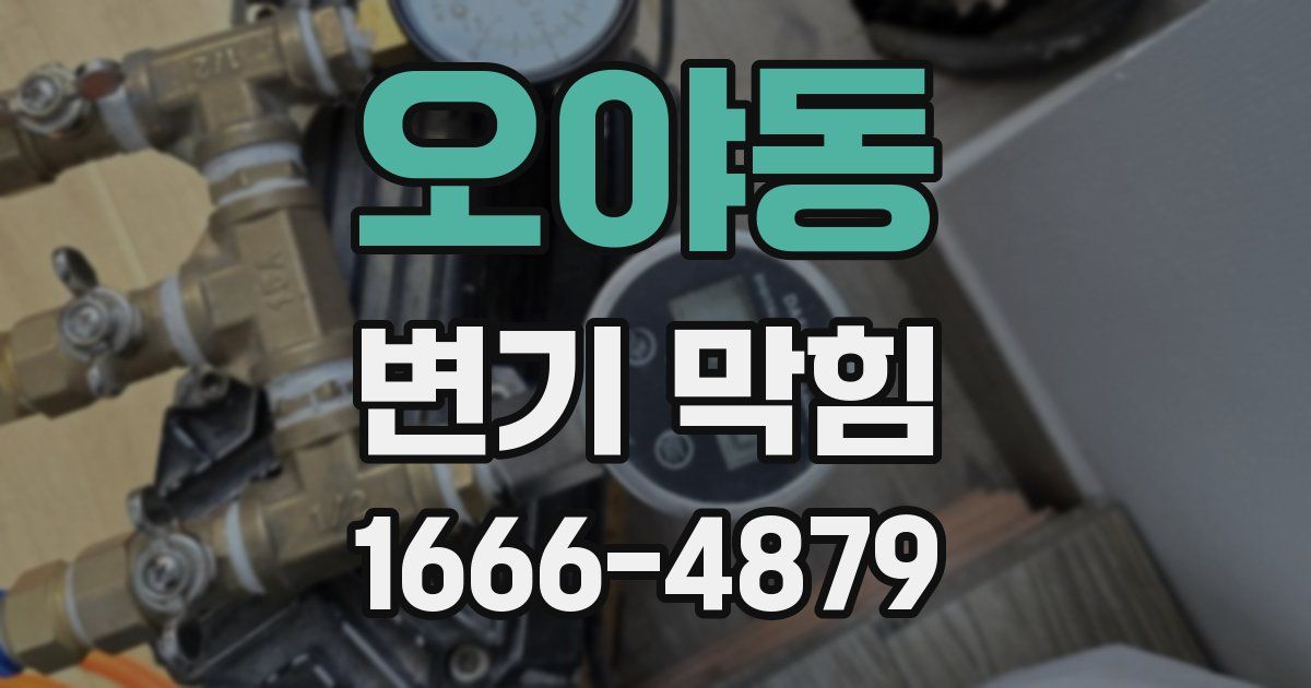 오야동 변기 막힘