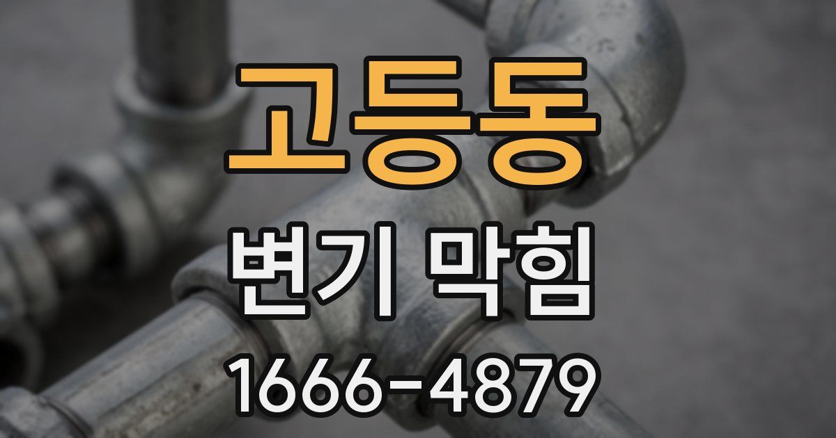고등동 변기 막힘