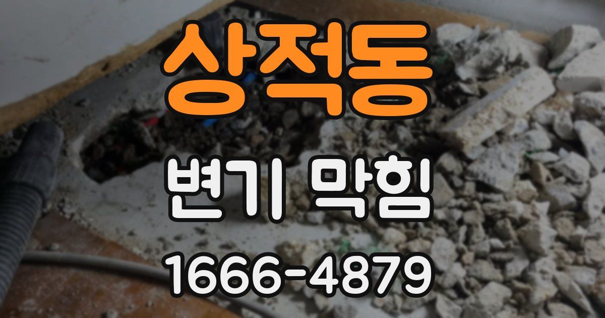 상적동 변기 막힘