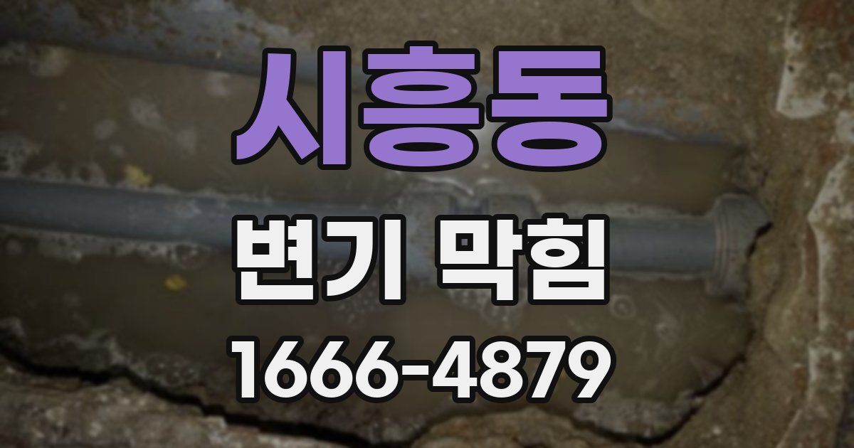 시흥동 변기 막힘