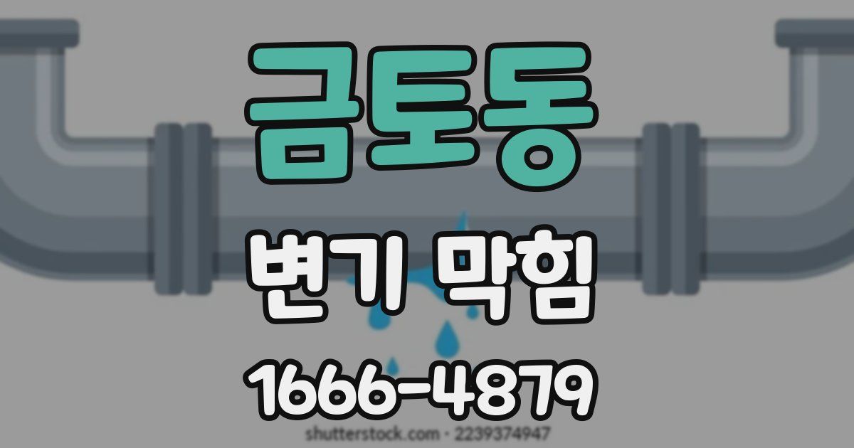 금토동 변기 막힘