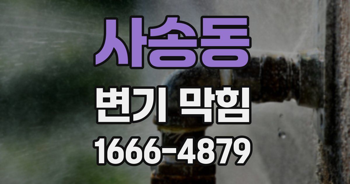 사송동 변기 막힘