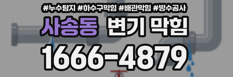 사송동 변기 막힘