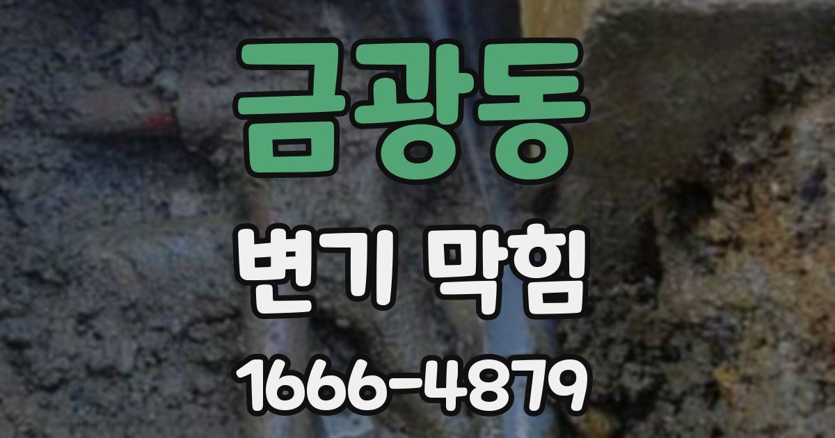 금광동 변기 막힘