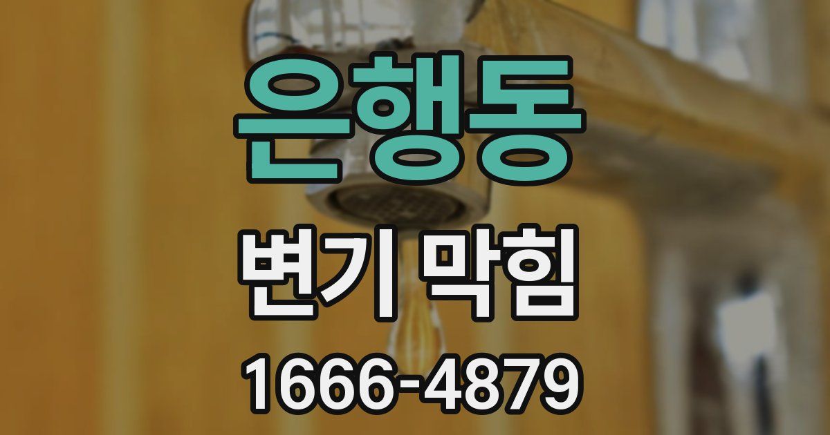 은행동 변기 막힘