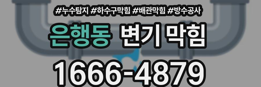 은행동 변기 막힘