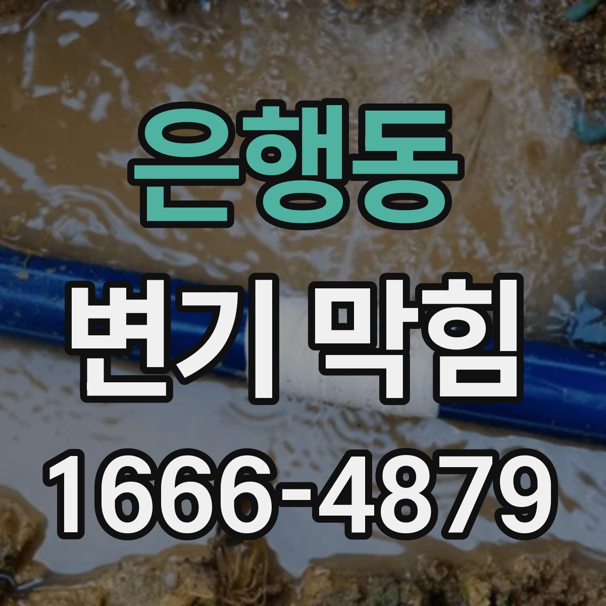 은행동 변기 막힘
