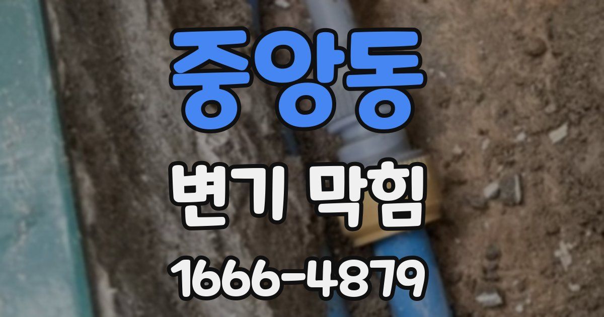 중앙동 변기 막힘