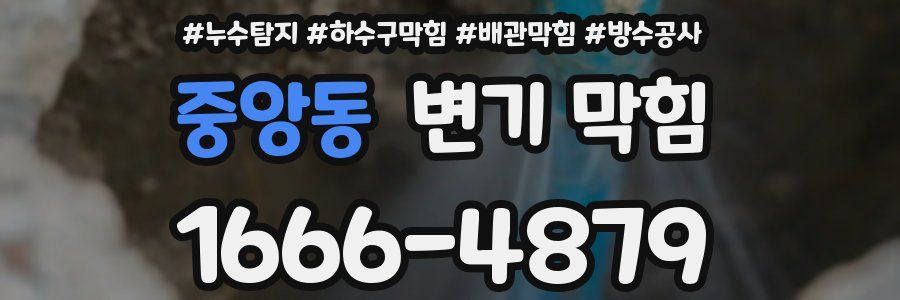중앙동 변기 막힘