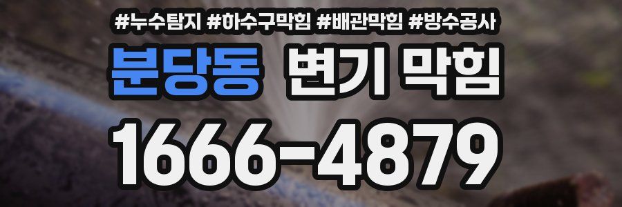 분당동 변기 막힘