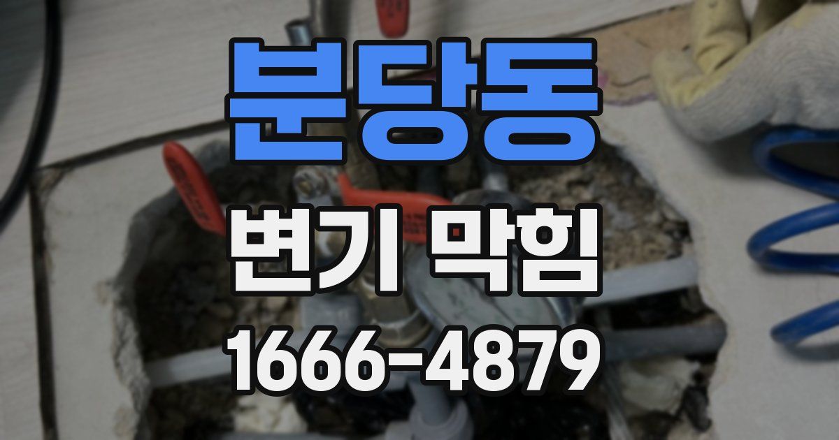 분당동 변기 막힘