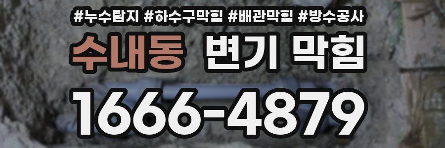 수내동 변기 막힘