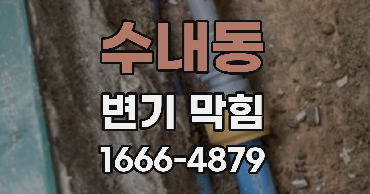 수내동 변기 막힘