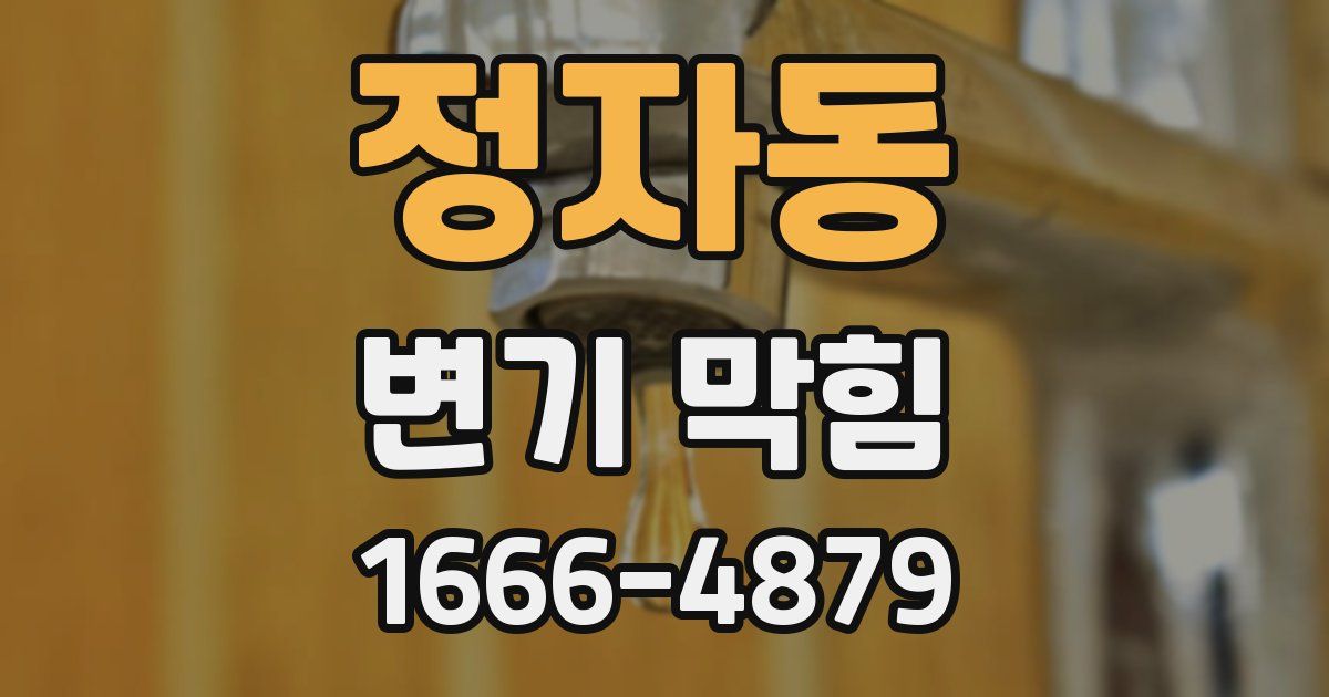 정자동 변기 막힘