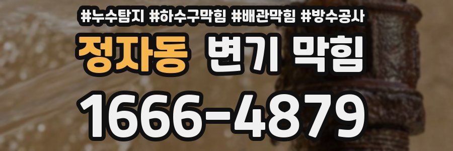 정자동 변기 막힘