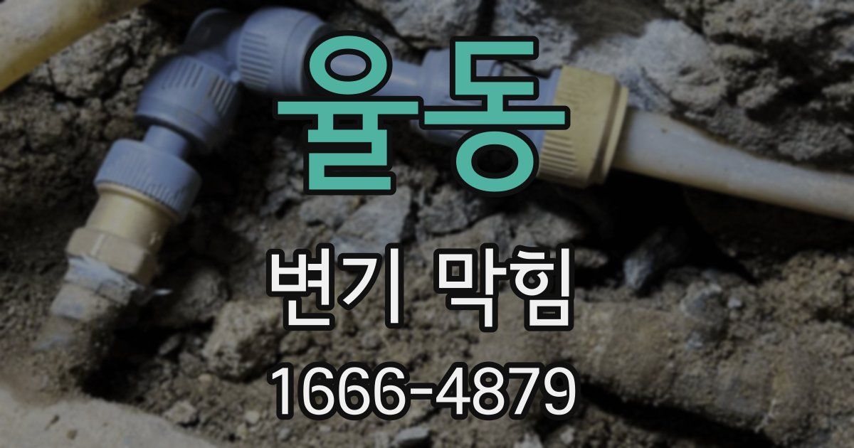 율동 변기 막힘