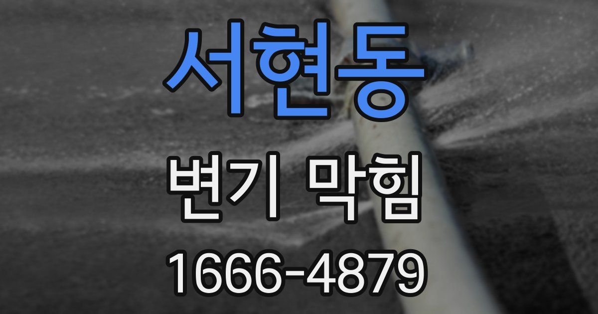 서현동 변기 막힘