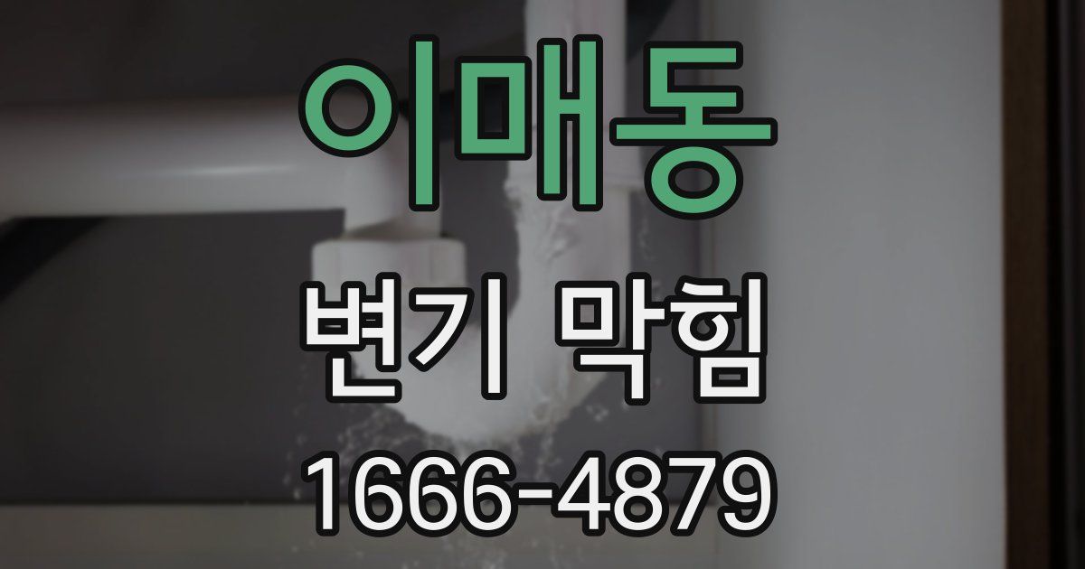 이매동 변기 막힘