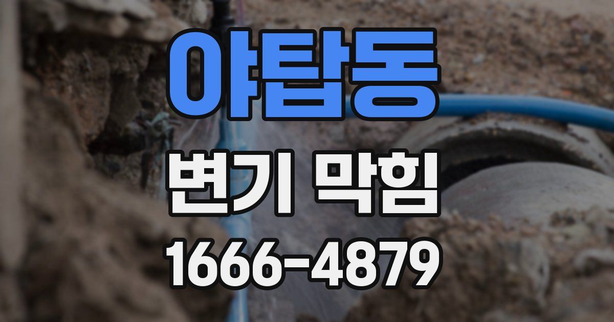야탑동 변기 막힘
