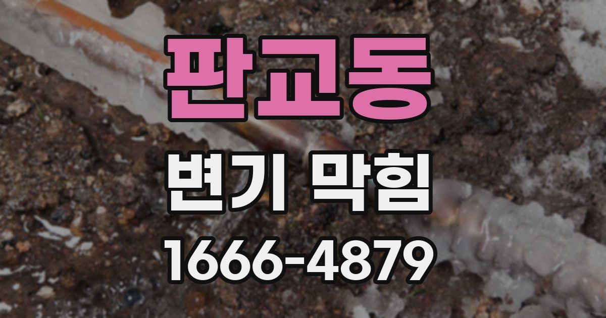 판교동 변기 막힘