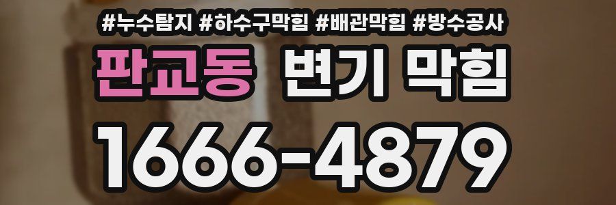 판교동 변기 막힘