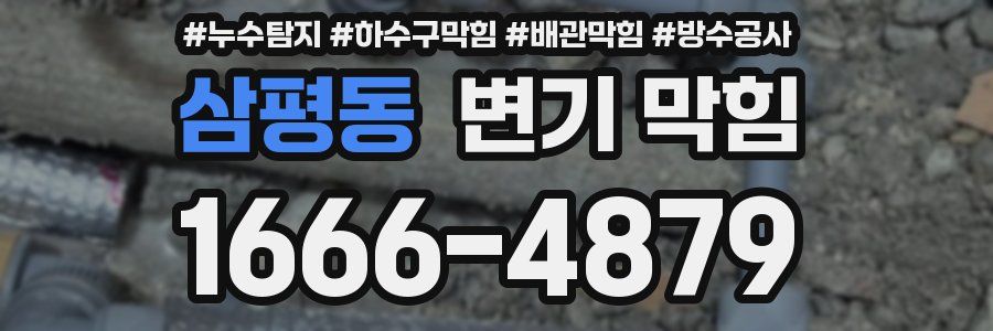 삼평동 변기 막힘