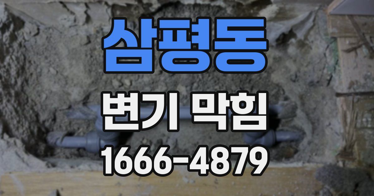 삼평동 변기 막힘