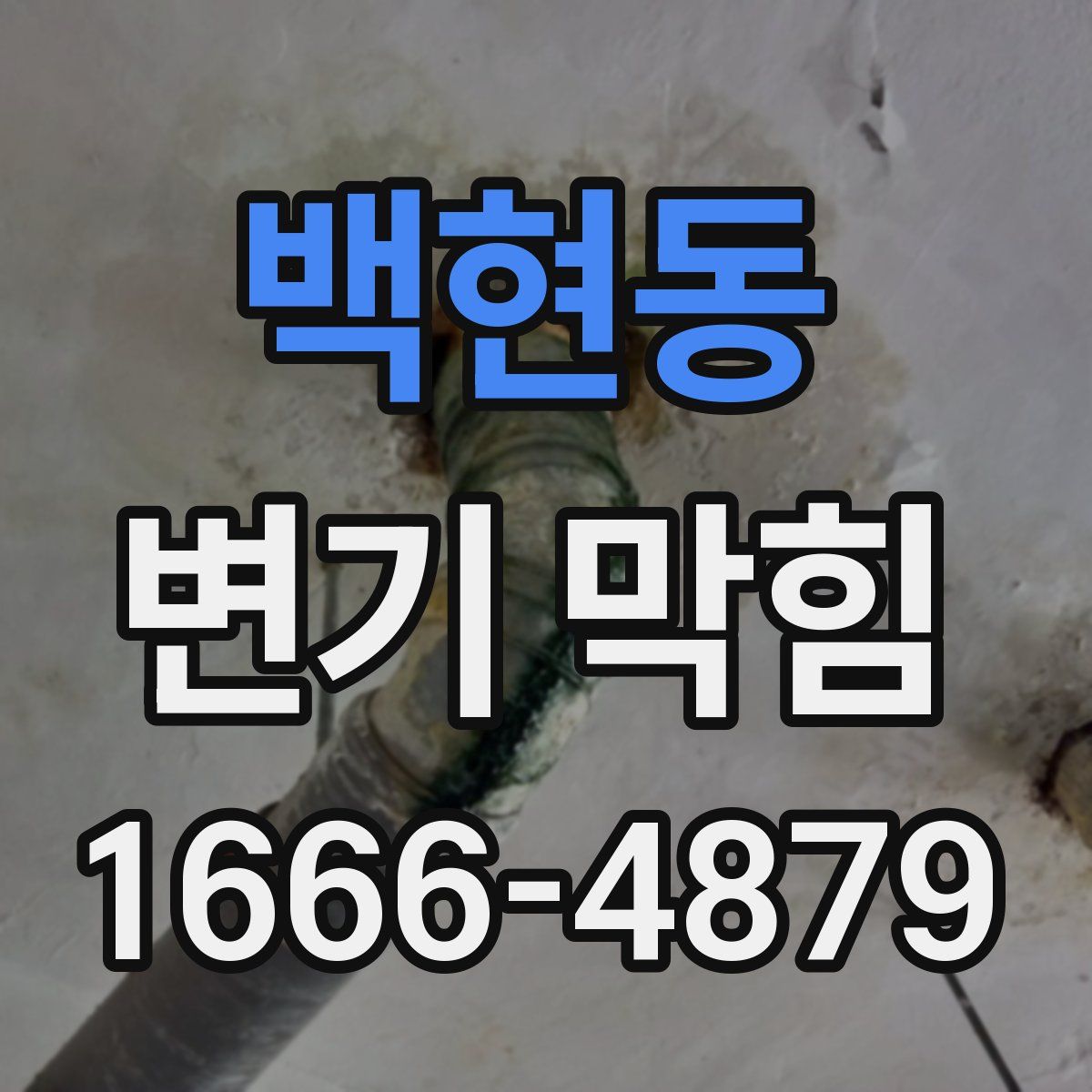 백현동 변기 막힘