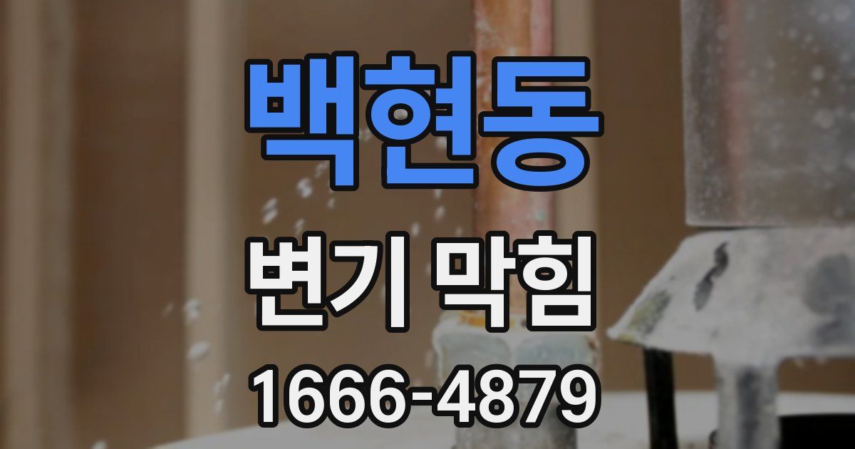 백현동 변기 막힘