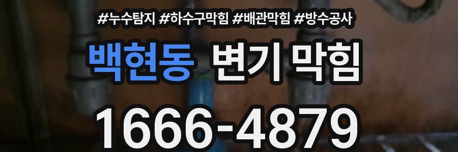백현동 변기 막힘