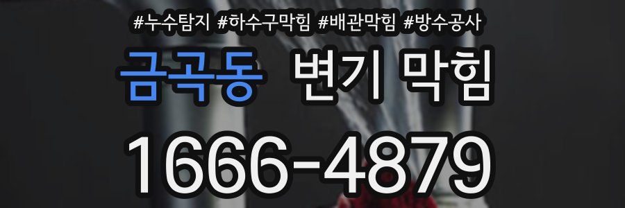 금곡동 변기 막힘