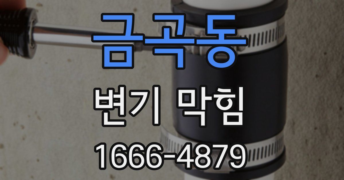금곡동 변기 막힘