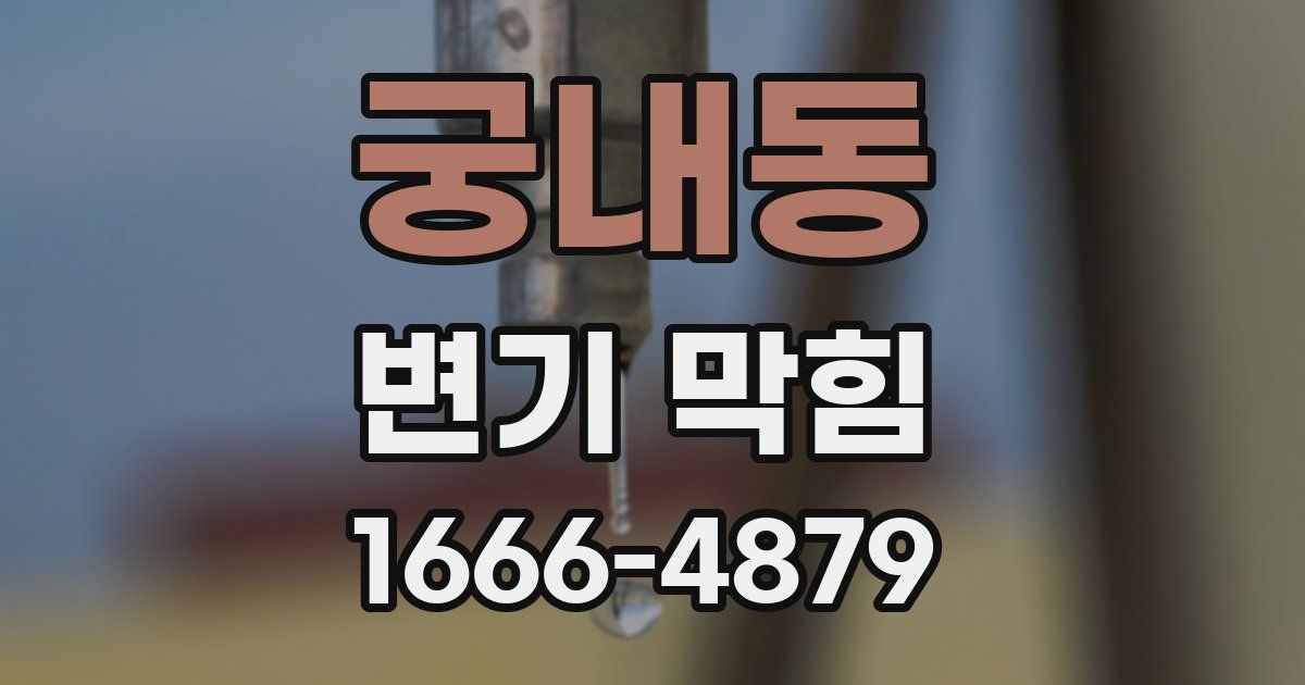 궁내동 변기 막힘